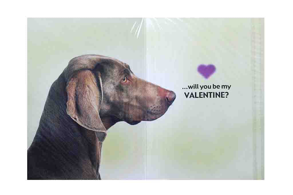 I’ve been Plucking up the Courage to ask you, Valentines Card - BuyAbility