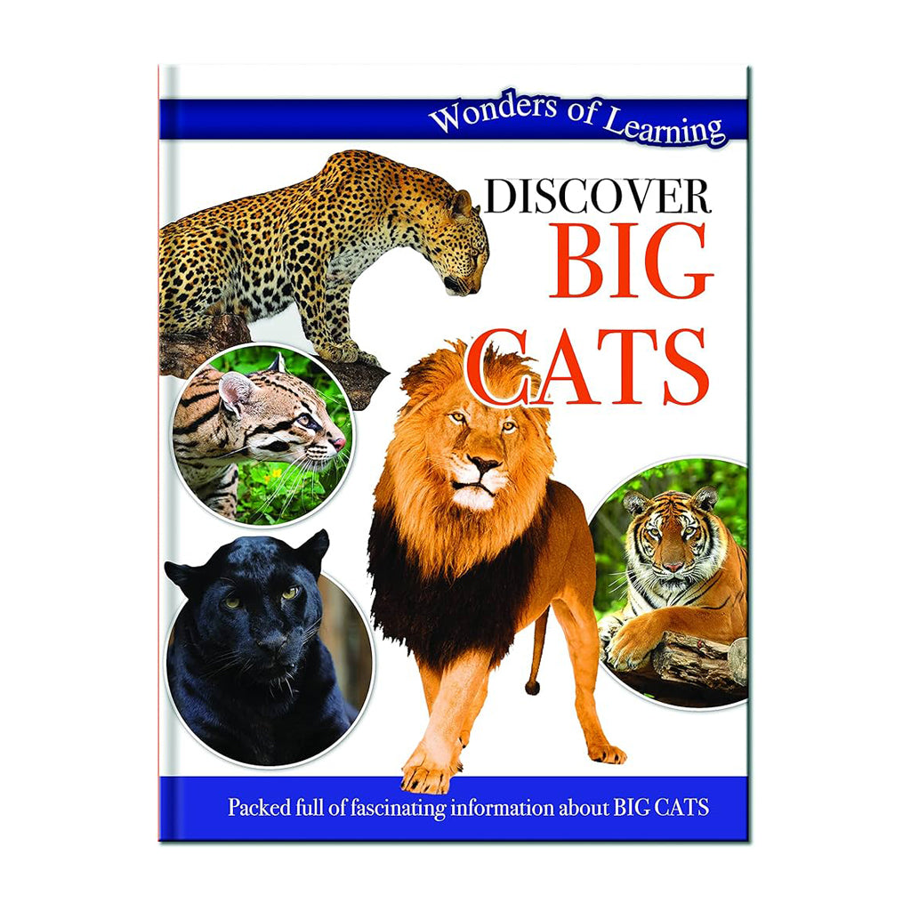 Discover Big Cats