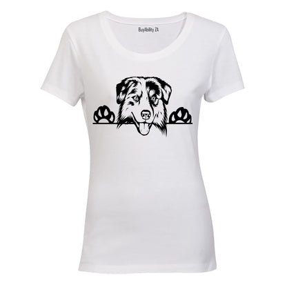 Australian Shepherd Peeking Dog - Ladies - T-Shirt - BuyAbility