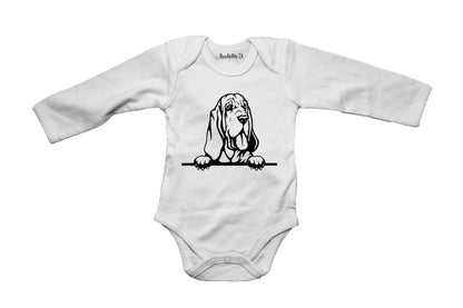Peeking Bloodhound - Baby Grow