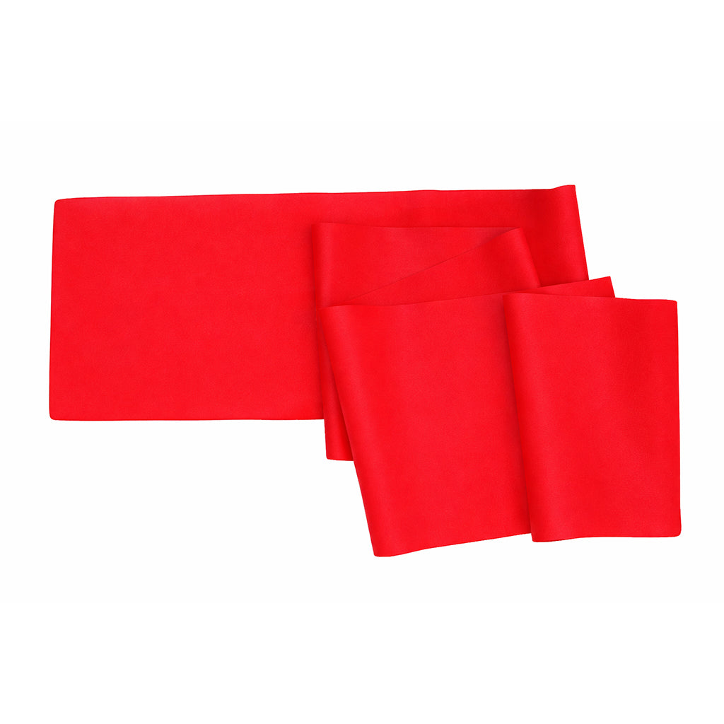 Therapy and Exercise Resistance Band - Red