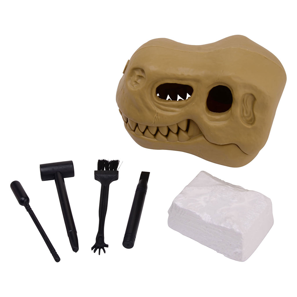 Dinosaur Fossil Dig Set - BuyAbility