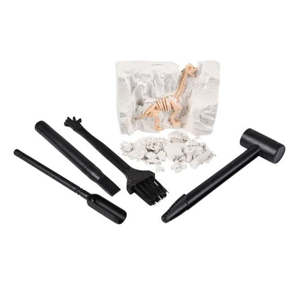 Dinosaur Fossil Dig Set - BuyAbility