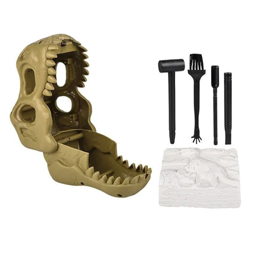 Dinosaur Fossil Dig Set - BuyAbility