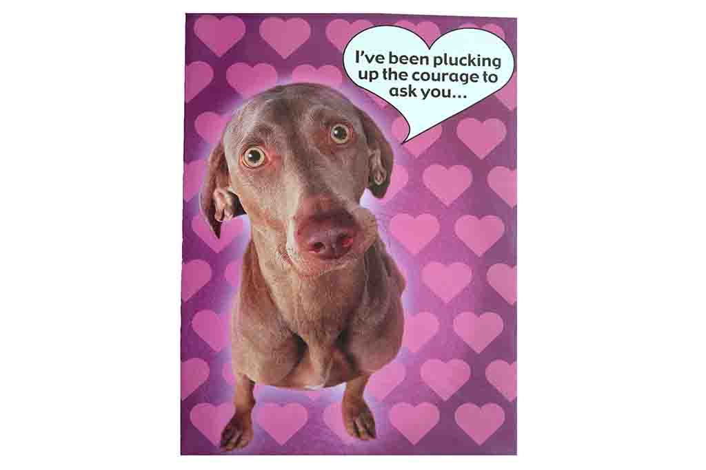 I’ve been Plucking up the Courage to ask you, Valentines Card - BuyAbility