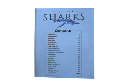 Discover Sharks - BuyAbility South Africa