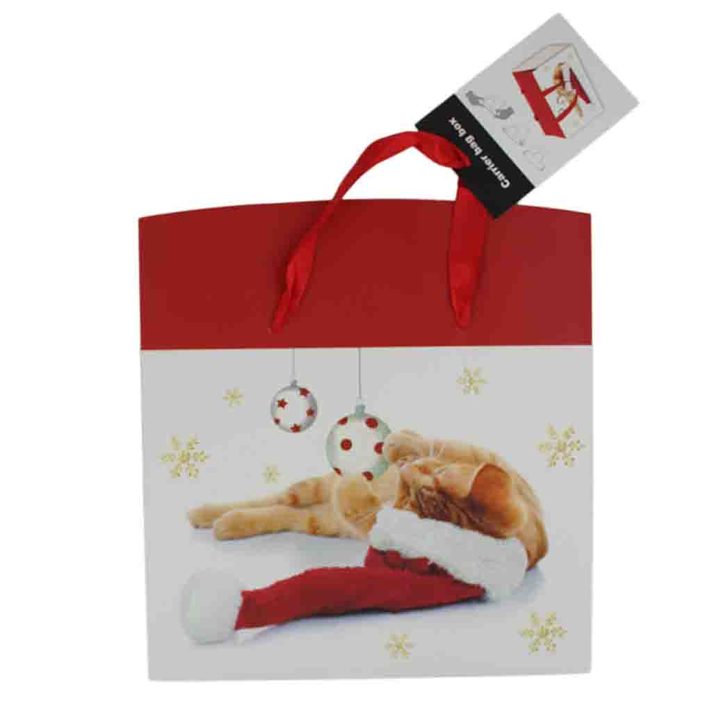 Christmas Kitten - Gift Bag - BuyAbility
