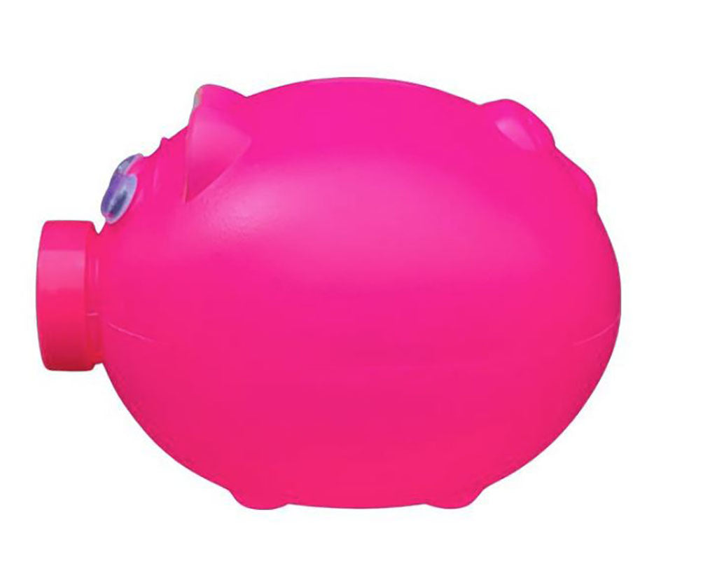 Pink Plastic Piggy Bank