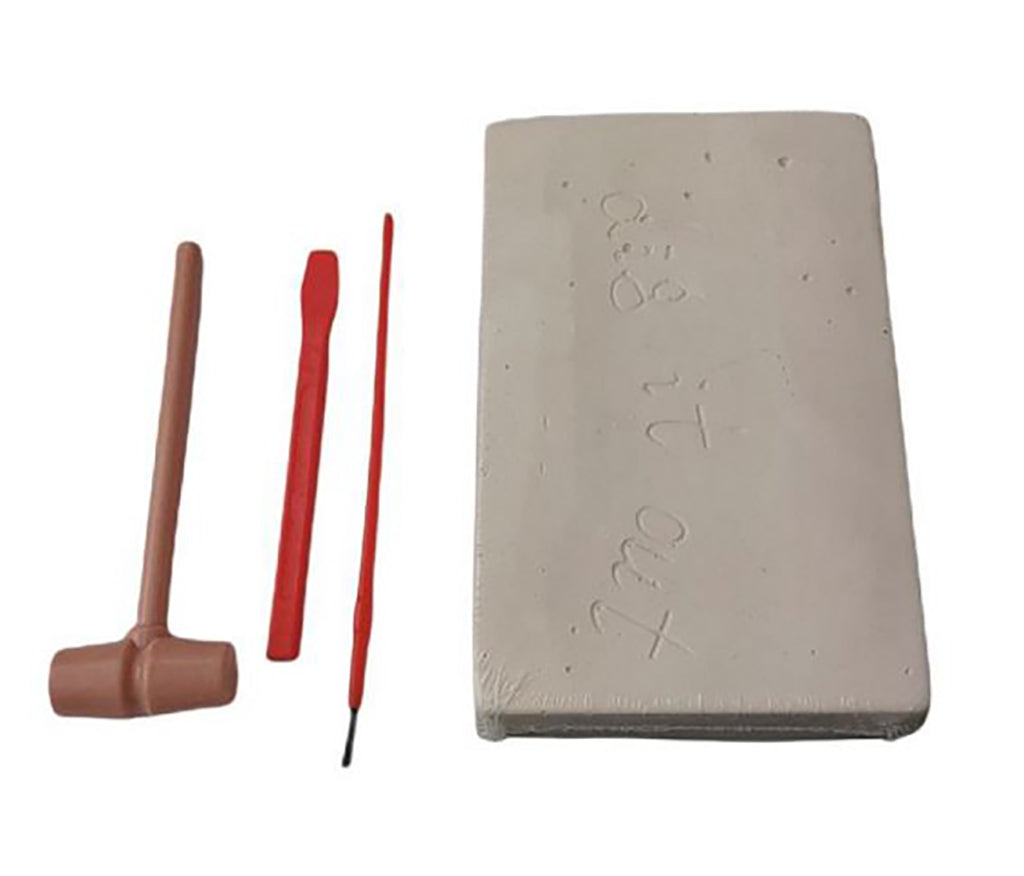Triceratops Excavation Kit - BuyAbility